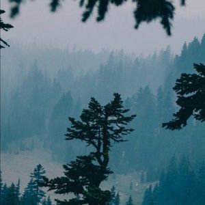 Meet your Posher, Joy